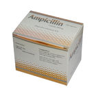 Syntetyczne pochodne kapsułki ampicyliny 250 mg 500 mg Doustne leki antybiotyczne